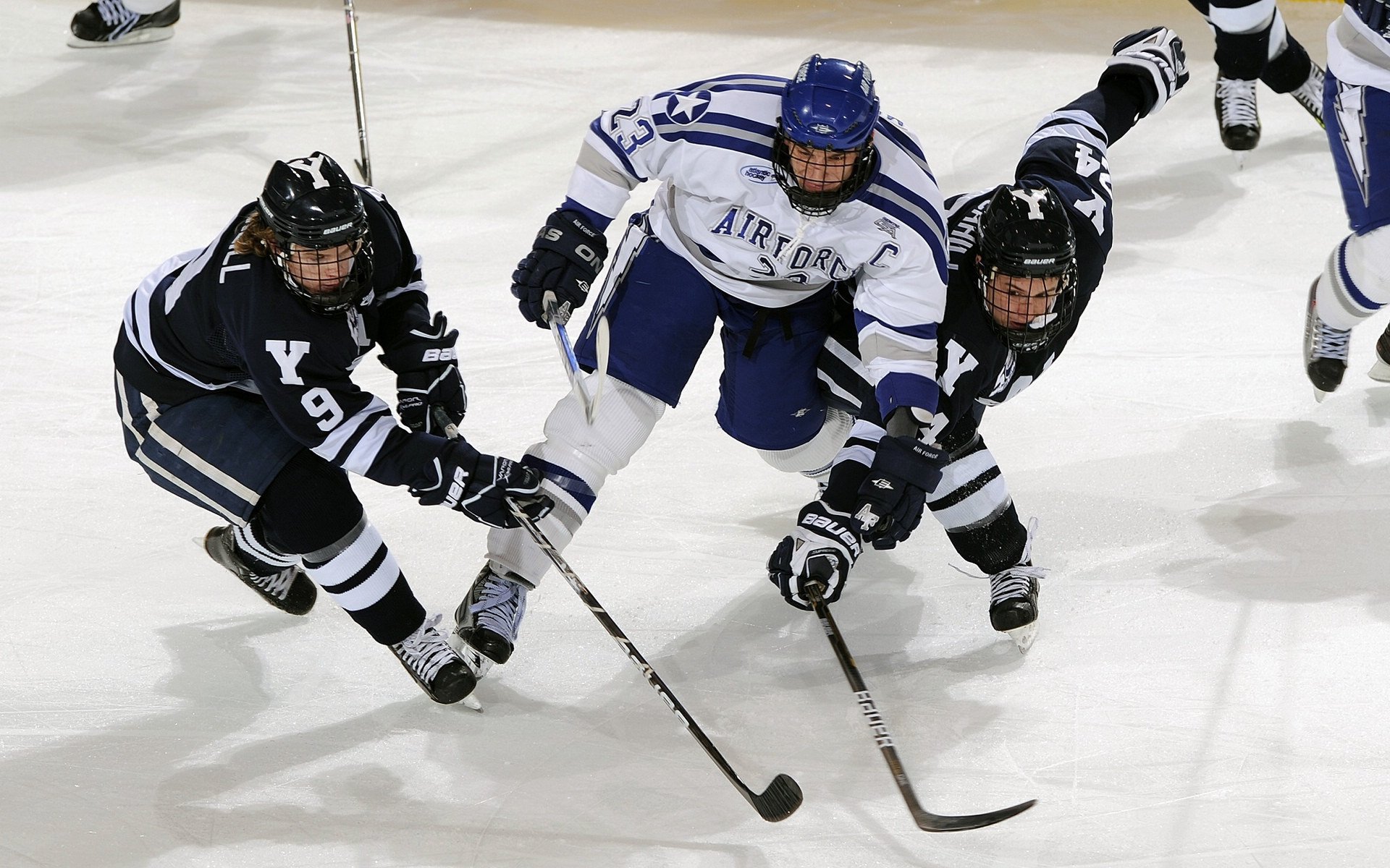 田径专项训练营注重运动科学指导，田径训练指导思想