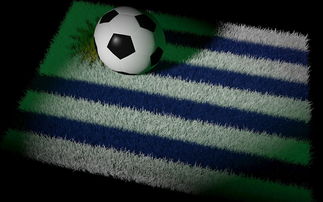 中国足球国家队备战东亚杯积极备战，中国队东亚杯名单